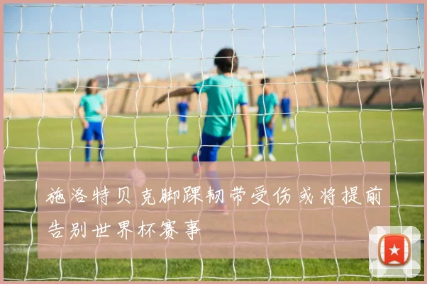 施洛特贝克脚踝韧带受伤或将提前告别世界杯赛事